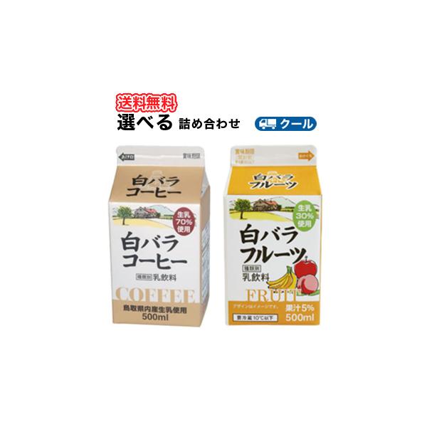 白バラ コーヒー・フルーツ 選べるセット2種類×3本【500ml×6本入