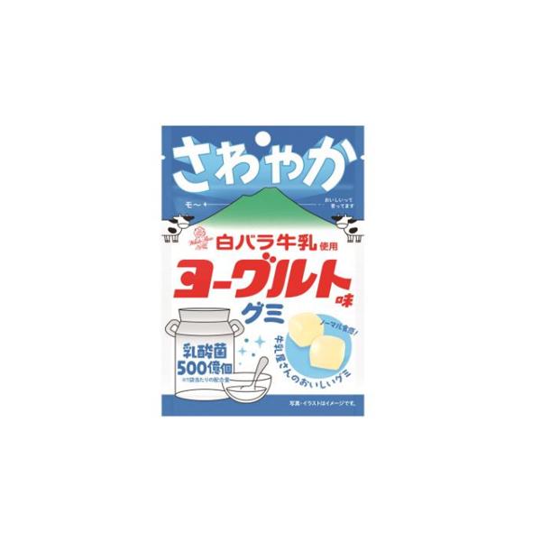白バラ牛乳使用　さわやかヨーグルト味　グミ　10袋（メール便）ぐみ　よーぐると　乳酸菌入り　グミ　 メール便