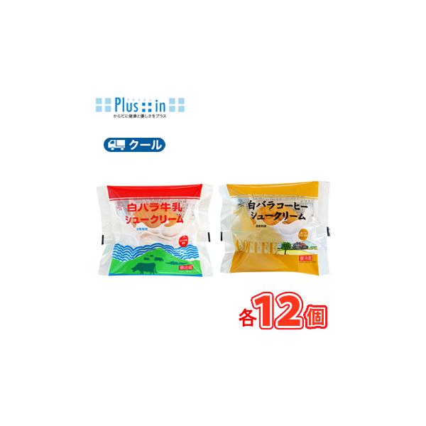 白バラ 牛乳 シュークリーム/コーヒーシュークリームセット 各12個【クール便】 シュークリーム 洋菓子 スイーツ おやつ　送料無料