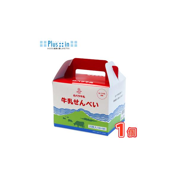 3155 白バラ SPバラ （白） フェアリーキッスホワイト｜ハナイチ｜花と植物