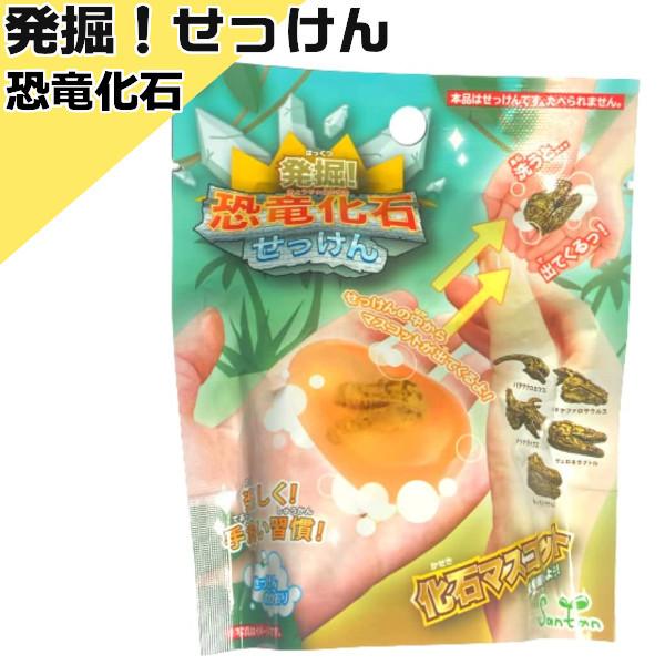 T^ @I΂ 601-8495 ΂ Ό  C oXy LN^[ q  T^ v[g Mtg |Cgp