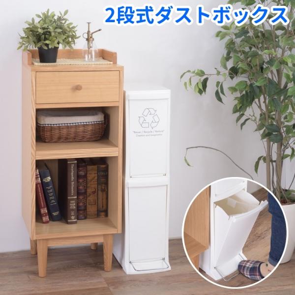 ゴミ箱 2段 ダストボックス 2分別 ペダル 足踏み 20L 20リットル 四角