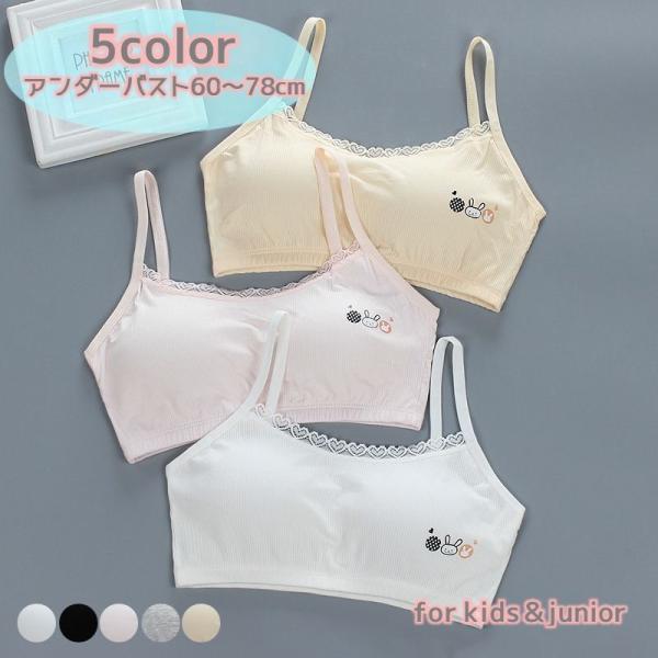 WjAu n[tgbv pbht X|[cu ETM [X n[g WjA LbY ̎q 킢  qp t@[Xgu L