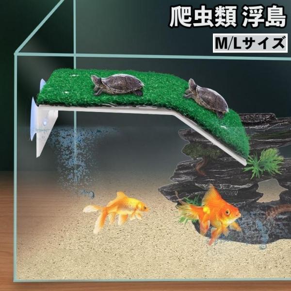 爬虫類 リクガメ 亀 魚 熱帯魚水槽 ビオトープ 60cm 蛍光灯付き Amazon | JOGIO亀 水槽 大きい タートルタンク カメ用水槽 カメ