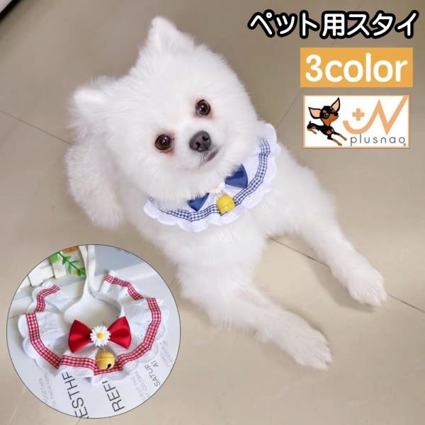 plusnao_pet-09178