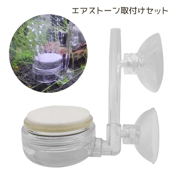 水槽内に細かい泡を作り出す◎エアストーンと設置用トレー、ノズル、吸盤のセットです。取り換え用エアストーンも販売中！【pet-14747-1】で検索してください。【サイズについて】画像をご参照ください。【カラーについて】生産ロットにより柄の出...