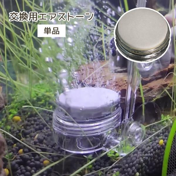 水槽内で細かい泡を作り出す◎交換用エアストーンです。※こちらのページはエアストーンのみの販売です。エアストーン、専用トレーとノズル、吸盤のセットも販売中！【pet-14747】で検索してください。【サイズについて】画像をご参照ください。【カ...