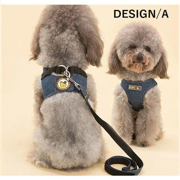 plusnao_pet-16451_1_d_20230130050519