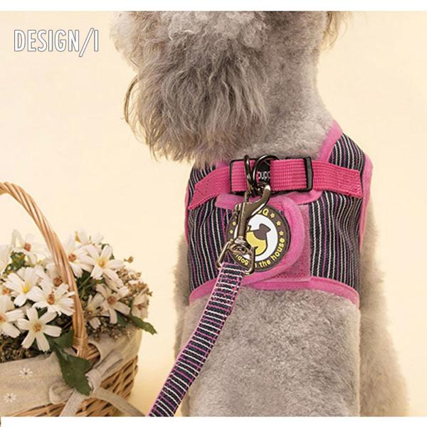 plusnao_pet-16451_4_d_20230130050504