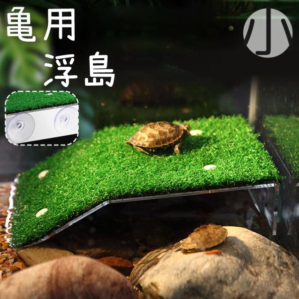 plusnao_pet-20619