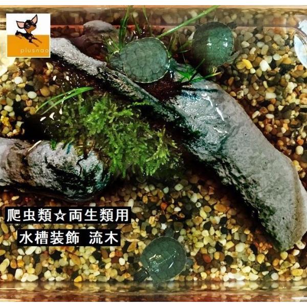 亀 水槽 水槽用レイアウト用品の人気商品 通販 価格比較 価格 Com