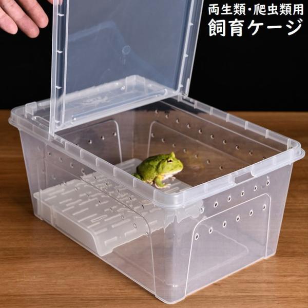 爬虫類用の生き物コンテナ、爬虫類の餌箱 - 爬虫類飼育箱爬虫類 爬虫類用の生き物コンテナ、爬虫類の餌箱 - 爬虫類飼育箱爬虫類
