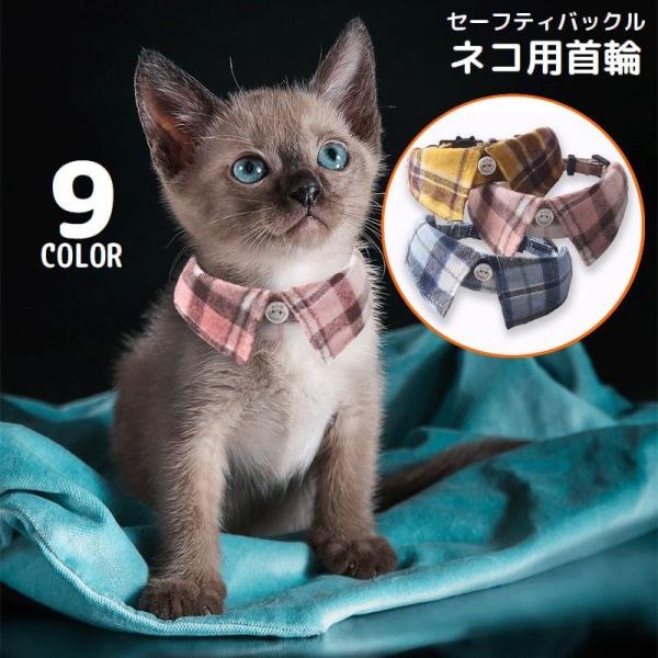 plusnao_pet-27622