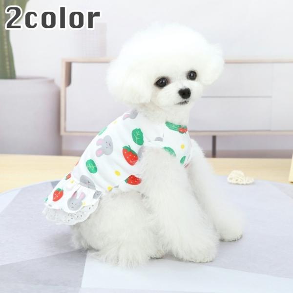 ybgEFA hbOEFA s[X p Lp m Ȃ m[X[u t ETM  t[  vg CXg  킢