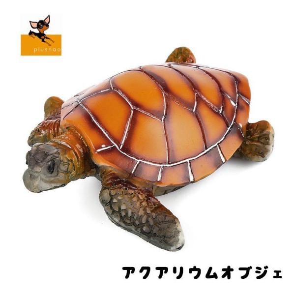 水槽用レイアウト用品 亀 水槽の人気商品 通販 価格比較 価格 Com