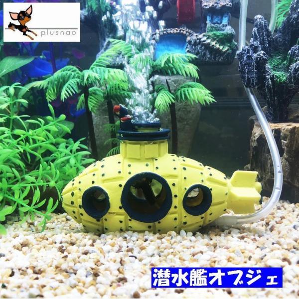 希少 黒入荷 水槽グッズ 魚用品 水草 Kerjakahwin Co