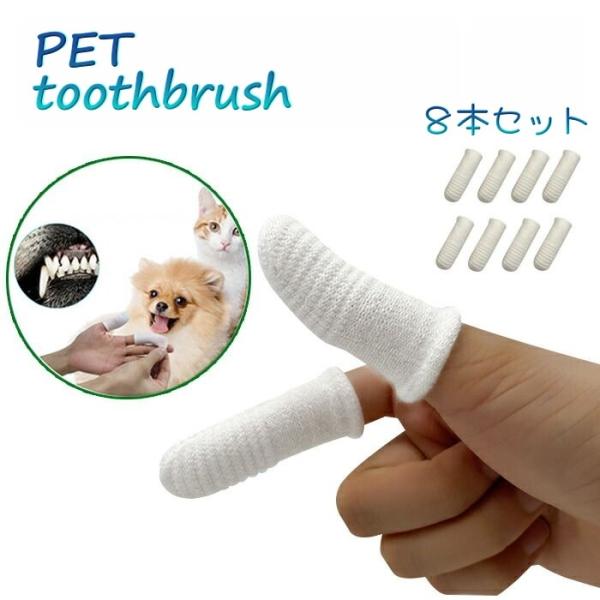 plusnao_pet-59884-8