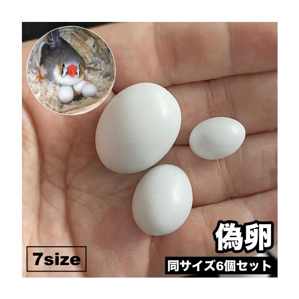 小型のセキセイインコなどの偽卵、同サイズ6個セットです。寿命を削るといわれる無精卵を生む抑制に◎【サイズについて】画像をご参照ください。【素材について】PP【カラーについて】生産ロットにより柄の出方や色の濃淡が異なる場合がございます。お使い...