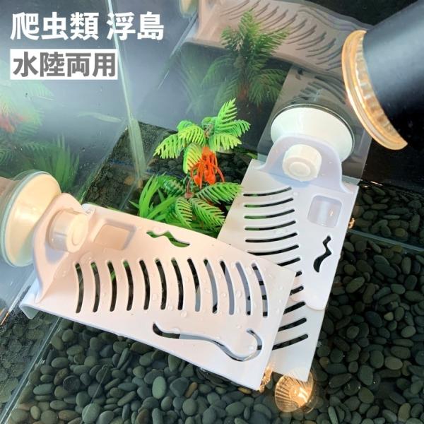 爬虫類 リクガメ 亀 魚 熱帯魚水槽 ビオトープ 60cm 蛍光灯付き 爬虫類 リクガメ 亀 魚 熱帯魚水槽 ビオトープ 60cm 蛍光灯付き