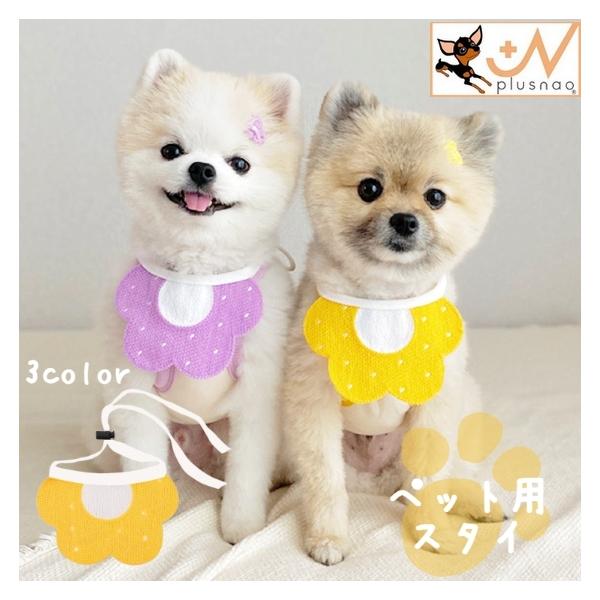 plusnao_pet-68459