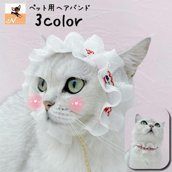 ybgpwAoh `[J[ lbNX  wbhhX ybgObY ybgpi Lp [X `Ae[v t RXv 킢