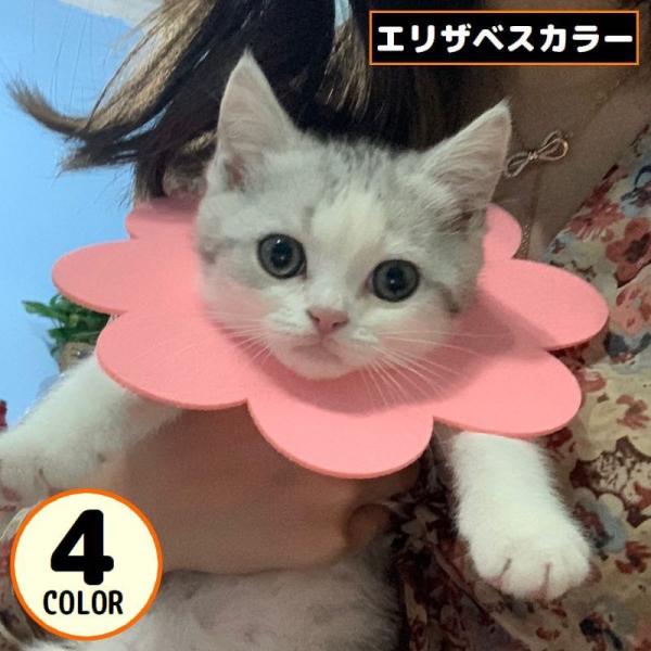 お花モチーフのかわいいデザインが嬉しい♪フェルト製のペット用エリザベスカラーです。大事なネコちゃん・ワンちゃんの手術後のケアや引っ掻き防止に◎【サイズについて】画像をご参照ください。【カラーについて】生産ロットにより柄の出方や色の濃淡が異な...