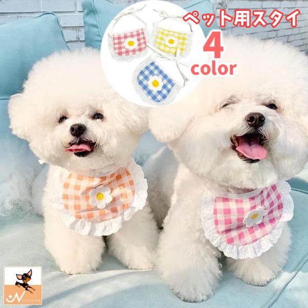 plusnao_pet-82445