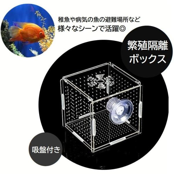 繁殖隔離ボックス 産卵ケース シングル 吸盤式 水槽内隔離