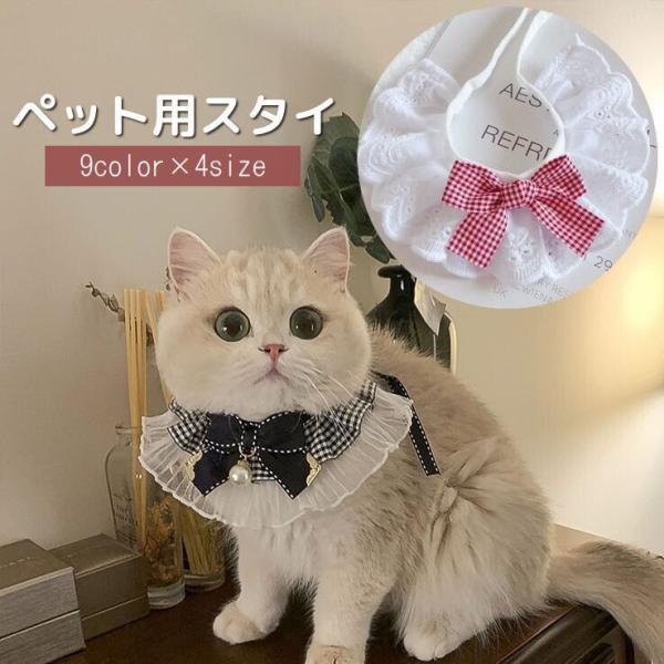 plusnao_pet-84110