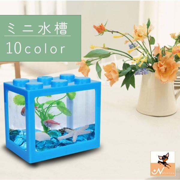 plusnao_pet-86842