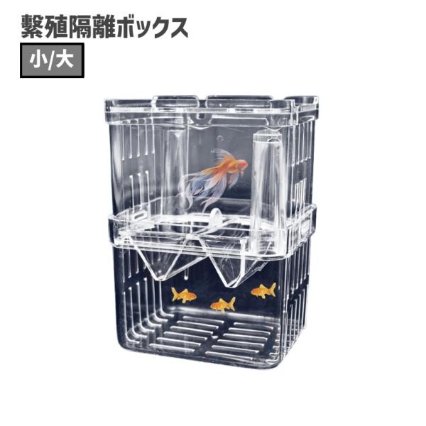 水槽に取り付ける繁殖隔離ボックスです。生まれた稚魚や弱った魚の隔離・保護に◎吸盤で固定するタイプです。【サイズについて】画像をご参照ください。【素材について】PC【カラーについて】生産ロットにより柄の出方や色の濃淡が異なる場合がございます。...