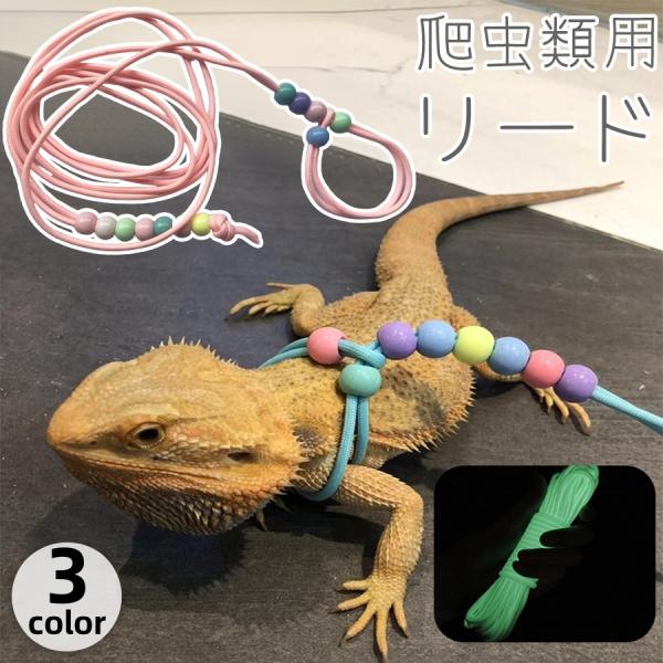 根付け　トカゲ  蜥蜴　爬虫類　竹 根付け トカゲ 蜥蜴 爬虫類 竹 71X3KM6JM4L._UF1000,1000_QL80_.jpg