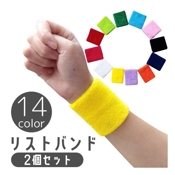 plusnao（プラスナオ） リストバンド 2個セット 両腕用 アームバンド