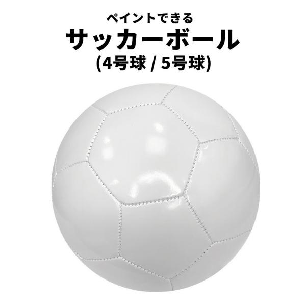 plusnao（プラスナオ） サインボール サイン用ボール 記念ボール