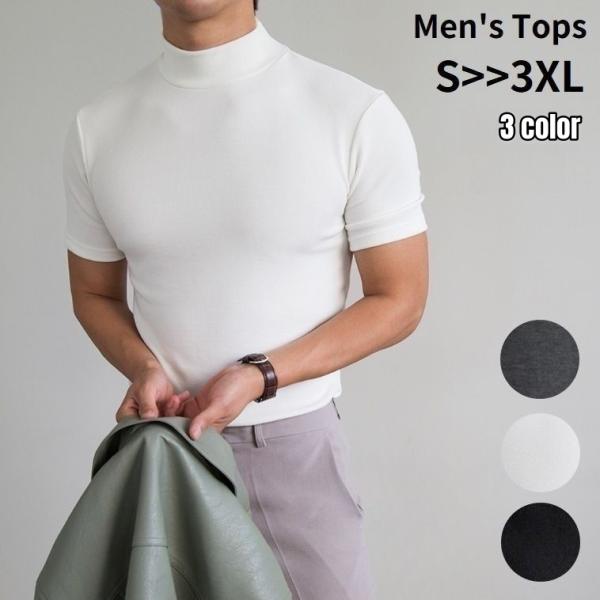 【美品・限定品】HOMME PLISSÉ 半袖トップス ブラック サイズ2 PING APPAREL】10色総柄サラマックス半袖ハイネックシャツ