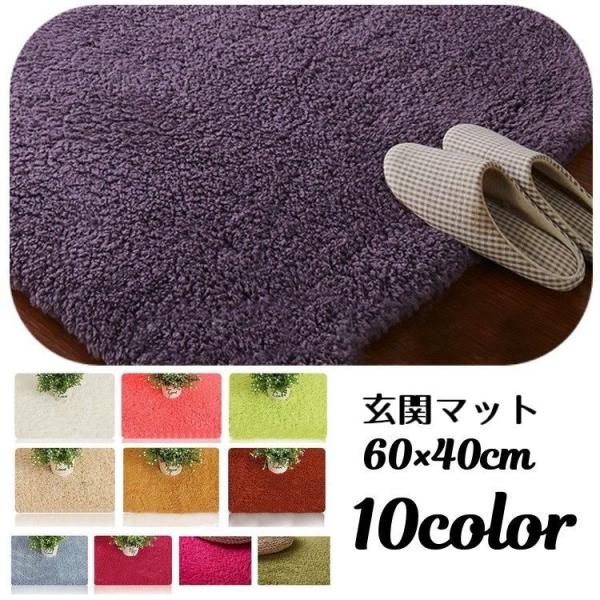 玄関マット 60 40cm フロアマット トイレマット バスマット 洗面所マット カーペット 浴室 玄関 リビング ベッドルーム バスルーム 脱衣所