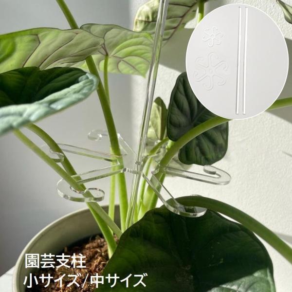 観葉植物の広がりや転倒防止に◎シンプルなクリアデザインの園芸支柱です。【サイズについて】画像をご参照ください。【素材について】アクリル【カラーについて】生産ロットにより柄の出方や色の濃淡が異なる場合がございます。お使いのモニターや撮影時の光...