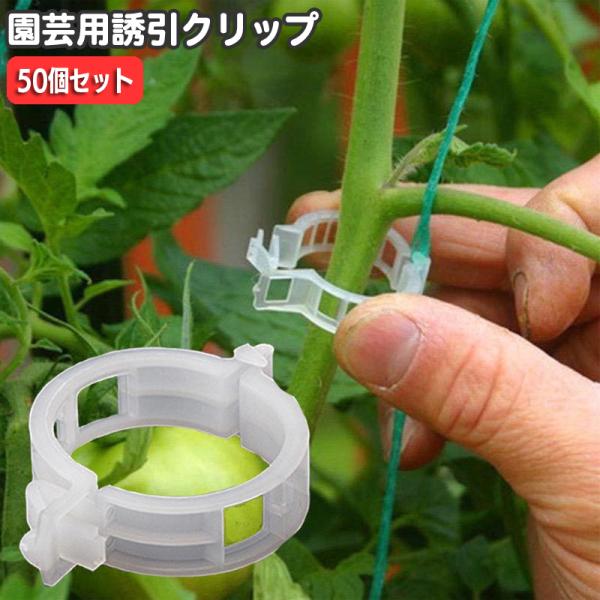 ブランド雑貨総合 plusnao_zak-37457 その他