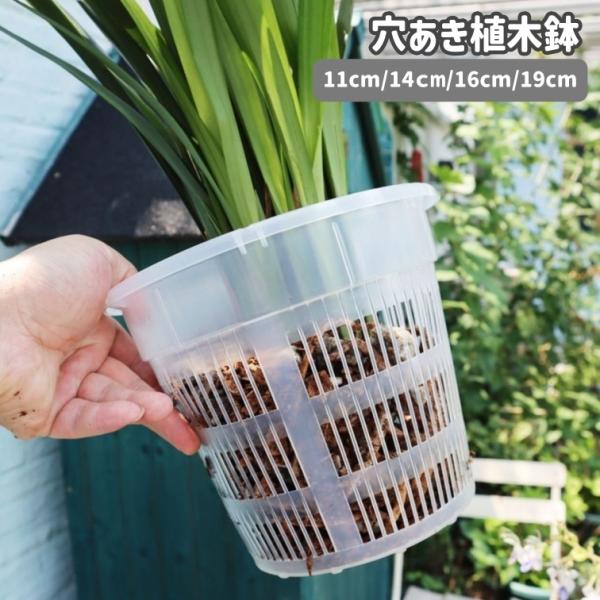 木の切り株植木鉢 オーダー用 切り株のプランター 通販 - ディノス