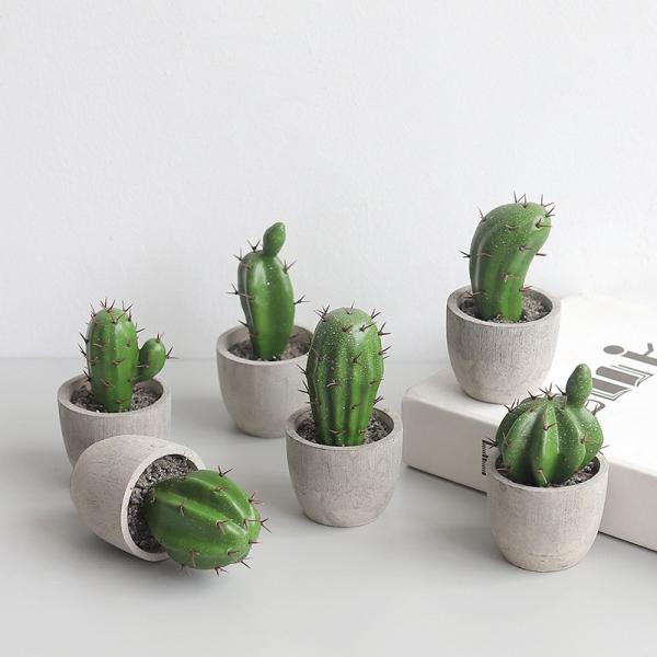 観葉植物 サボテン ミニサイズの人気商品 通販 価格比較 価格 Com