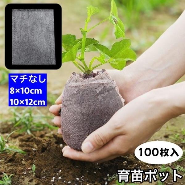 育苗ポット 100枚入り 不織布 マチなし 苗ポットバッグ 不織布