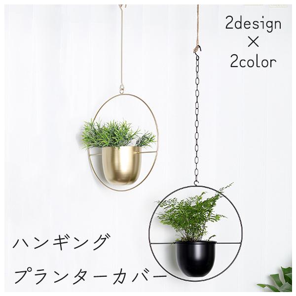 Amazon.co.jp: 壁掛け傘植木鉢 | 壁装飾プランターホルダー装飾