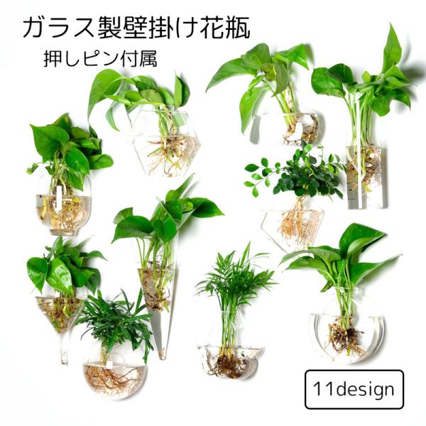 水耕栽培用の壁掛け花瓶です。ガラス製の見た目はおしゃれで、植物をより綺麗に魅せてくれます。形や大きさも様々なので、お部屋の雰囲気を見ながら組み合わせを楽しんでください♪※花瓶のみです 植物は付属しておりませんのでご注意ください【サイズについ...