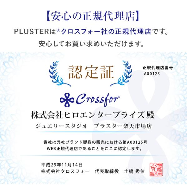 pluster_nd2993341b_5_d_20230424164303