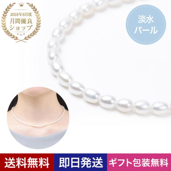 ^ lbNX  p[ CXp[ W {^ fB[X ^ tH[}   Ǝ w NX}X v[g 