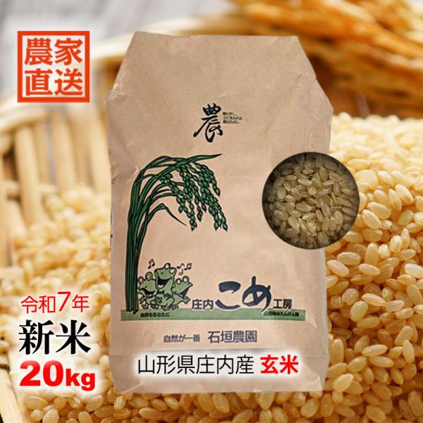 予約販売:25年10月上旬より発送予定】玄米 新米 20kg 山形県庄内