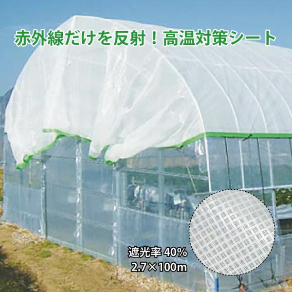 最安値 ふるなび ふるさと納税 重炭酸 クリスタルイオン シャワーヘッド 長湯ホットタブ shower シャワー 45錠 重炭酸水 500ml×2本 セット 大分県竹田市 ふるさと納税 B-23-2 高知県産血赤珊瑚丸玉ピアス K18 ブラタイプ(フック) 高知県土佐市