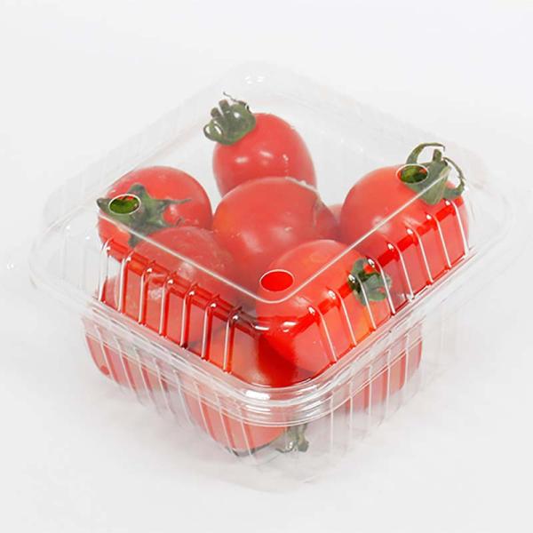 日本画⑹　ミニトマト 日本画⑹ ミニトマト