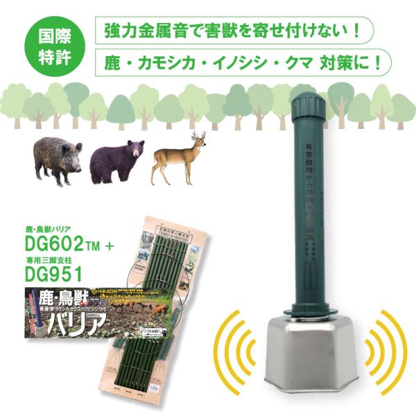 plusys_310720 plusys_310720