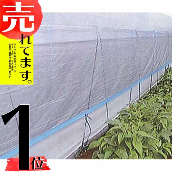 農業資材 ガーデニング用品 100m 寒冷紗 黒の人気商品 通販 価格比較 価格 Com
